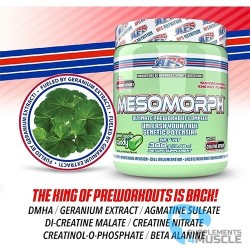 APS Mesomorph V4 388g