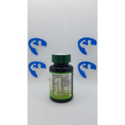 Revange Nutrition Hydro Pump 400g Suppléments | S4M