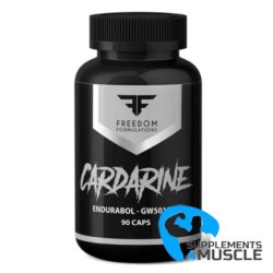 Ashes DMAA 390g Supplements | Supplements4muscle