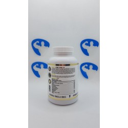 Hammer Labz PCT V3 60caps Suppléments | Supplements4muscle