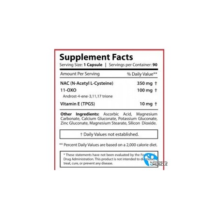 Hammer Labz Alpha Yohimbine 100caps | Supplements4muscle