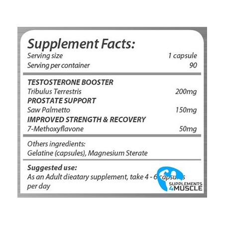 RDX Labs Shred X 60caps Supplements | Supplements4muscle