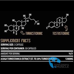 Underground Papercut Fat burner 90 gélules Supplément | S4M