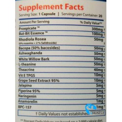 Core Labs X BPC-157 20 gélules Suppléments | Supplements4muscle