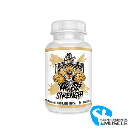 Hammer Labz Daily Pump 300 g Supplément | Supplements4muscle