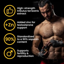 Hammer Labz Crea5 Strength 405g Creatine Stack Supplement|S4M