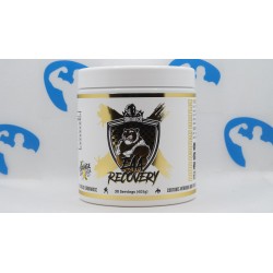 Hammer Labz EAA Recovery 405 g Suppléments | S4M