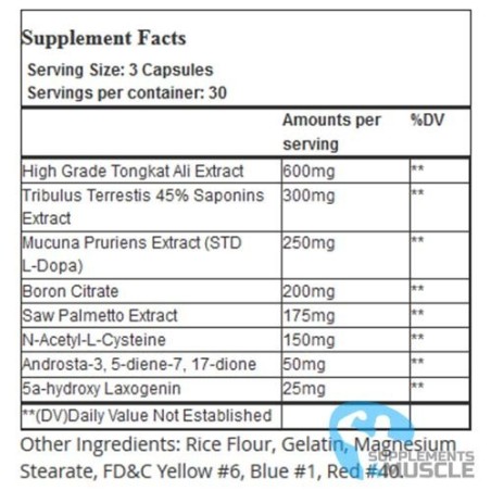 Sparta Nutrition Trojan PCT Supplements | Supplements4muscle