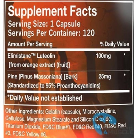 HI-TECH PHARMACEUTICALS Synadrene DMHA | Supplements4muscle