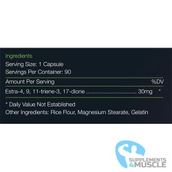Revange Nutrition Latina Lean | Supplements4muscle