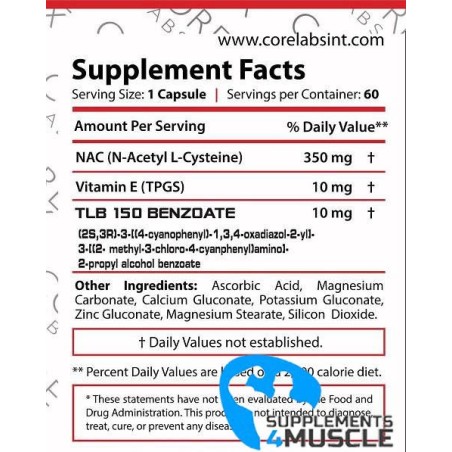 Revange Nutrition Morning Pills 60 gélules | Supplements4muscle