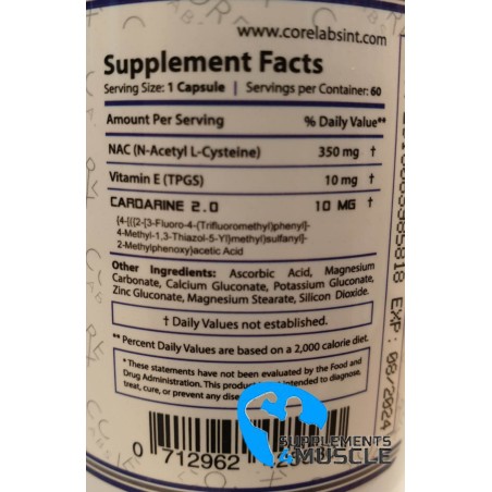 Core Labs X Size Up 60 caps Supplements | Supplements4muscle