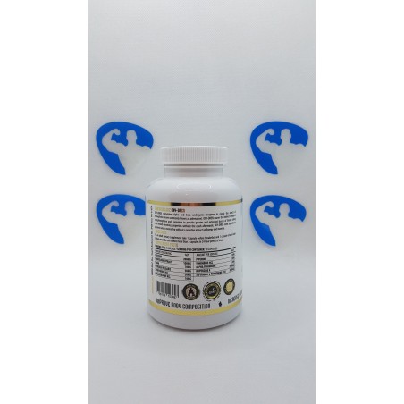 Hammer Labz Oxy-Dren 90 gélules | Supplements4muscle