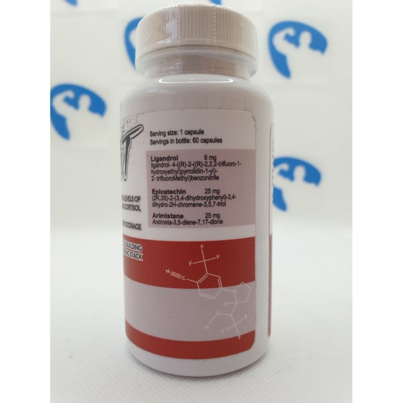 Revange Nutrition Lights Out 60caps | Supplements4muscle